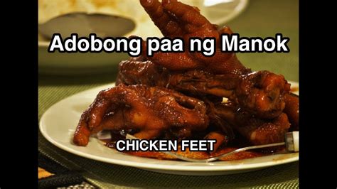 tae ng manok in english|MANOK: Definition of the Tagalog word manok in English..